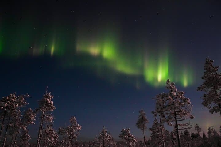 Evening Snowmobile Safari with Campfire in Saariselkä — Northern Lights Snowmobiling photo 4