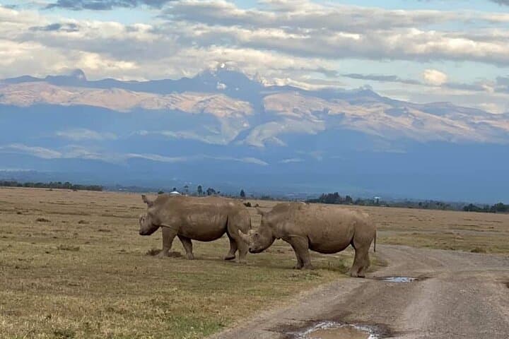 Solio Ranch Rhino Watch Safari: Day Trip from Nairobi photo 5
