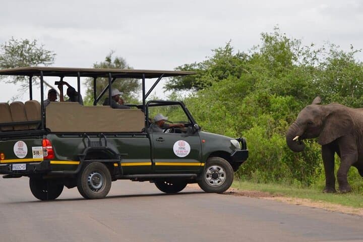 2-Day Luxury Kruger Safari from Nelspruit — Big Five Lodge Experience photo 3