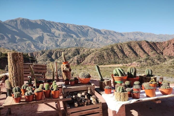 Two-Day Cachi & Humahuaca Tour from Salta — Quebrada de Humahuaca Highlights photo 5