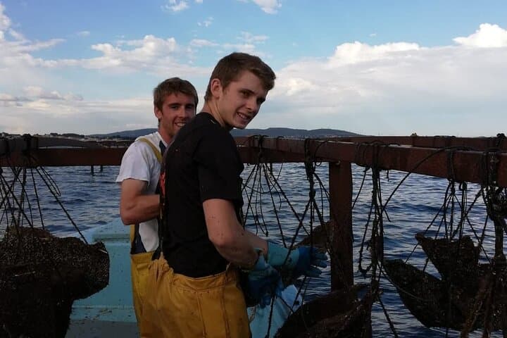 Picpoul de Pinet Half‑Day: Oysters, Brasucade & Muscat Vineyards photo 2