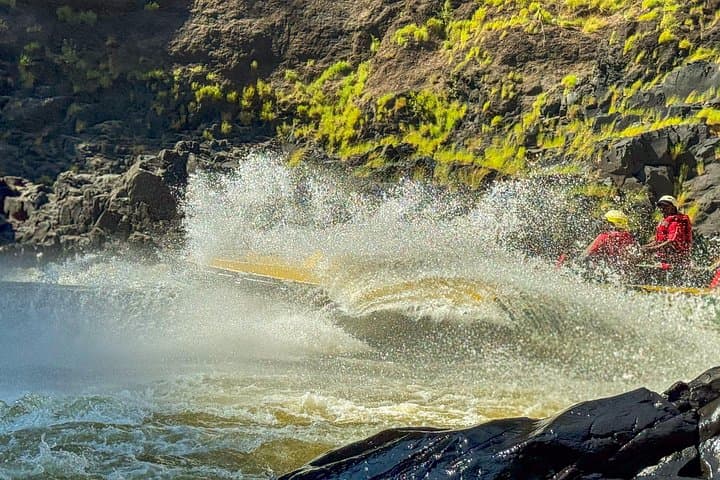 Victoria Falls Bungee Jump & Zambezi Jetboat: Bridge-to-Rapids Adrenaline Combo photo 3
