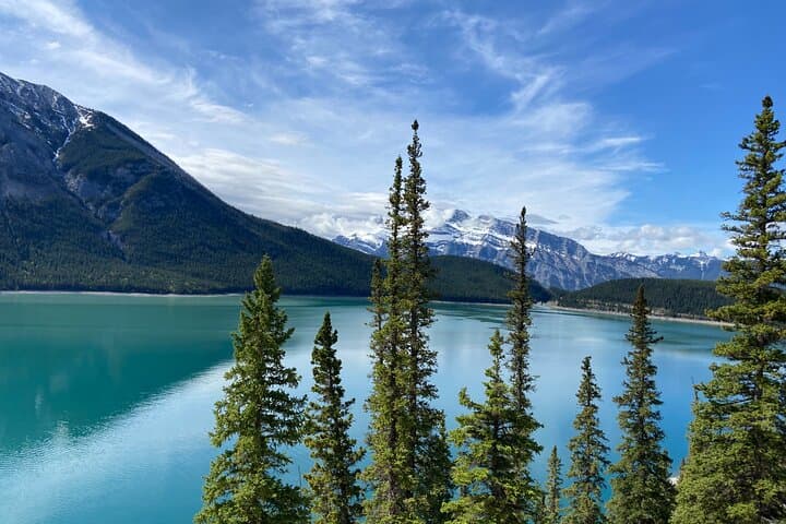 Banff Nature Walk: 2-Hour Guided Walk in Banff National Park photo 6