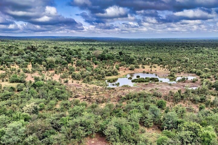 Vulture Experience: 4x4 Safari Drive at Victoria Falls photo 5