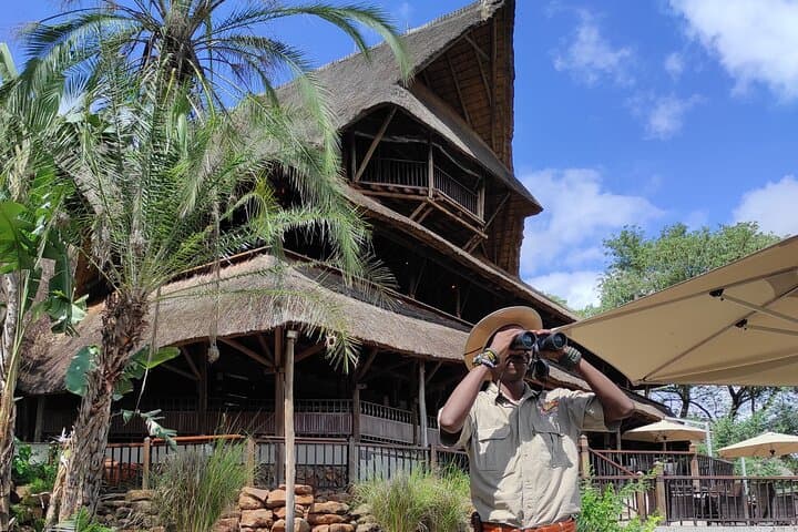 Vulture Experience: 4x4 Safari Drive at Victoria Falls