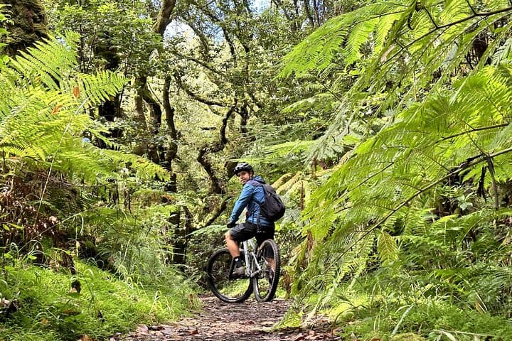 Easy Levada Biking Tour on Madeira’s Levada da Serra — Family-Friendly Ride photo 5