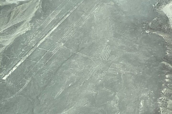 Nazca Lines Flight & Cantalloc Aqueducts Tour — 35–60 Minute Aerial Viewing from Nazca photo 4