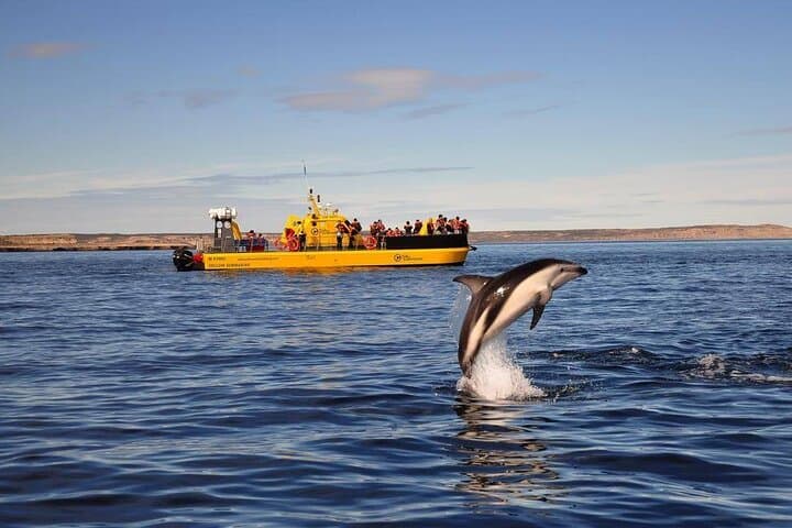 Submarine Whale Watching in Puerto Piramides — Panoramic Views of Peninsula Valdés photo 4