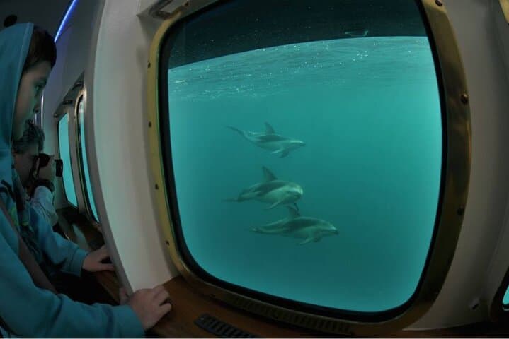 Submarine Whale Watching in Puerto Piramides — Panoramic Views of Peninsula Valdés photo 5