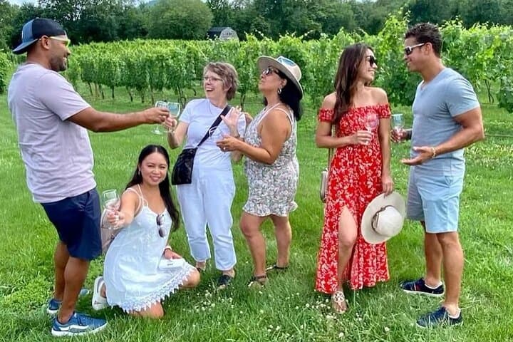 Private Virginia Wine Country Tour: Hillsboro, Breaux & Bozzo Wineries photo 1