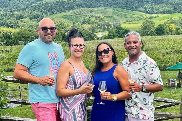 Private Virginia Wine Country Tour: Hillsboro, Breaux & Bozzo Wineries photo 4