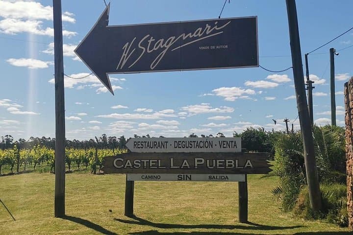 Montevideo Tannat Wine Escape: Private Winery Tour & Gourmet Lunch photo 3