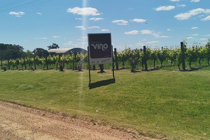 Montevideo Tannat Wine Escape: Private Winery Tour & Gourmet Lunch photo 4