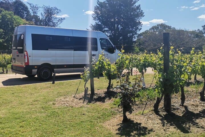 Montevideo Tannat Wine Escape: Private Winery Tour & Gourmet Lunch photo 5