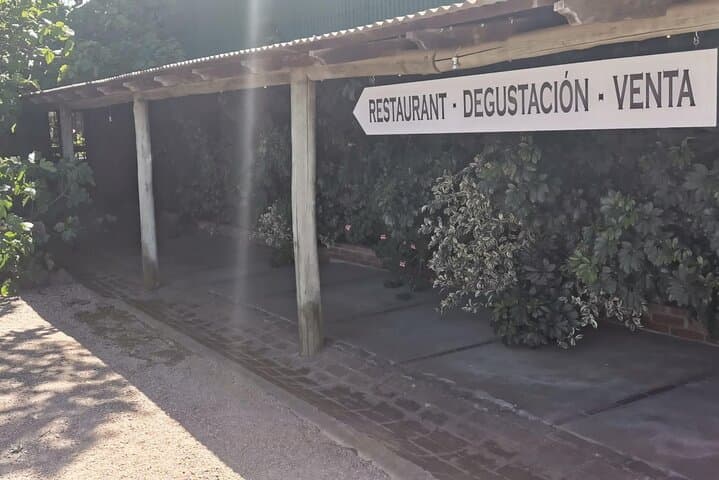 Montevideo Tannat Wine Escape: Private Winery Tour & Gourmet Lunch photo 6