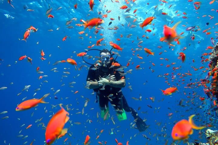 Intro Scuba Diving in Hurghada: Full-Day Boat Trip with Lunch & Transfers