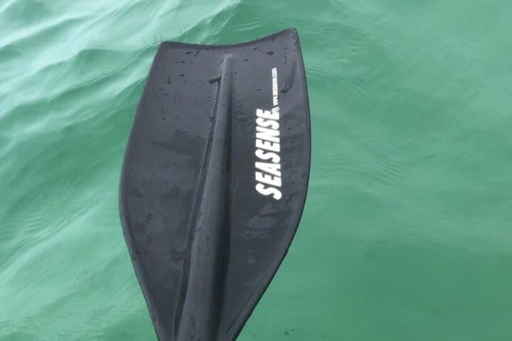 Destin Harbor Kayak Rental: Paddle to Norriego Point's Natural Pools photo 2