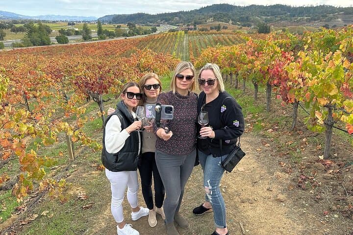 Mountainside Napa Valley Winery Tour — Small-Group Picnic & Tasting photo 3