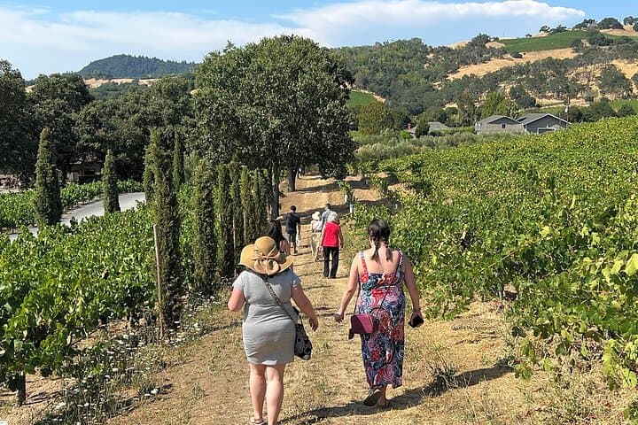 Mountainside Napa Valley Winery Tour — Small-Group Picnic & Tasting photo 5