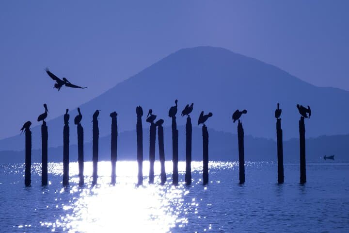 Birdwatching in El Salvador: Eco Parque El Espino & El Boquerón with a Biologist Guide photo 2