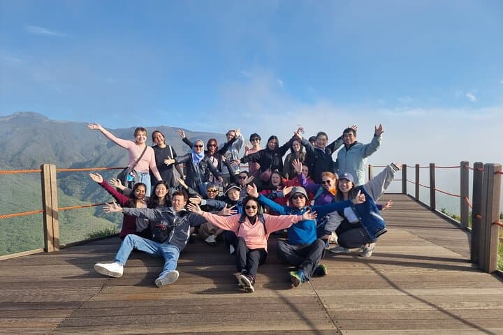 Southern Jeju UNESCO Day Tour: Hallasan Hike, Camellia Hill & Coastal Lava Cliffs photo 6