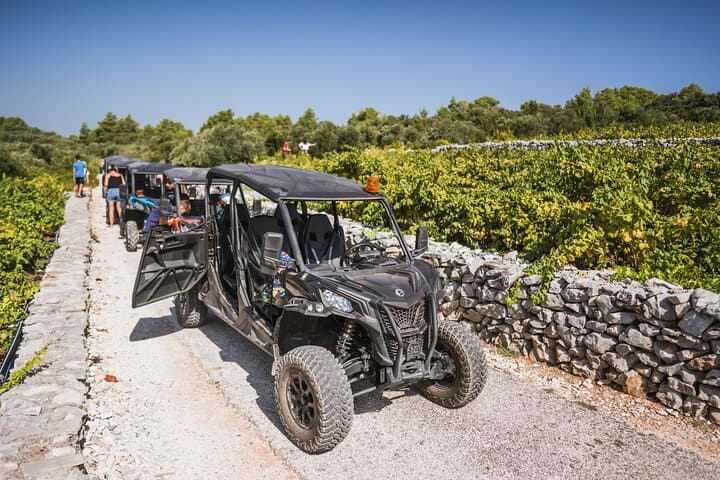 Korčula Buggy Safari with Wine Tasting — Lumbarda Beaches & Adria Winery photo 2