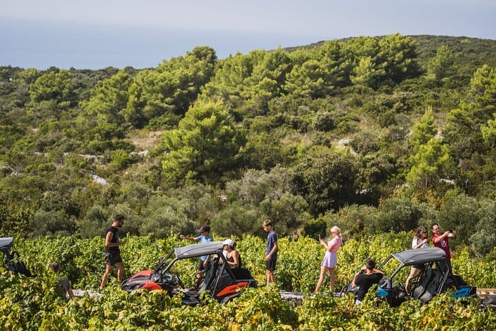 Korčula Buggy Safari with Wine Tasting — Lumbarda Beaches & Adria Winery photo 4