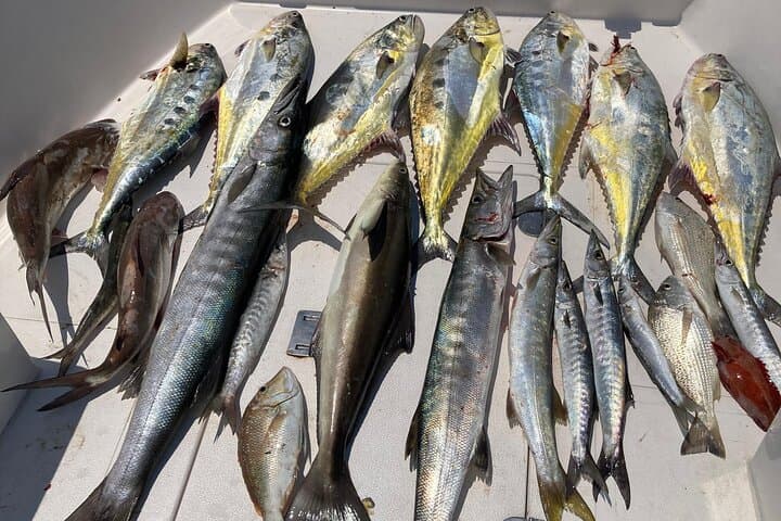 Shared 4-Hour Deep-Sea Fishing Trip from Port Rashid, Dubai photo 2