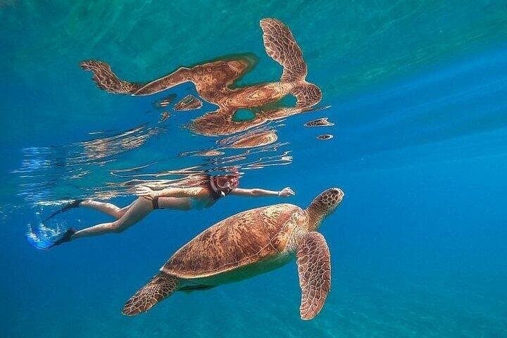 Marsa Mubarak Snorkel Cruise from Marsa Alam: Red Sea Coral & Turtle Encounters photo 3