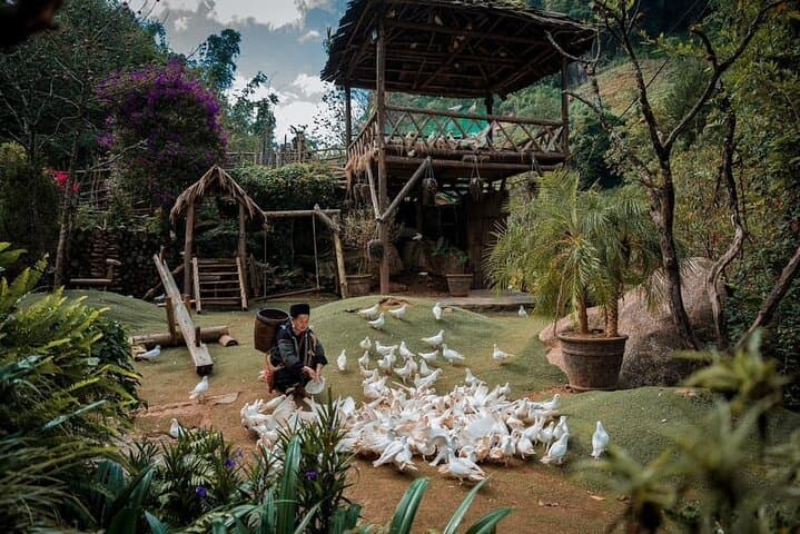 Sapa Private Car Tour: Cat Cat Village, Alpine Coaster & Moana Café photo 4