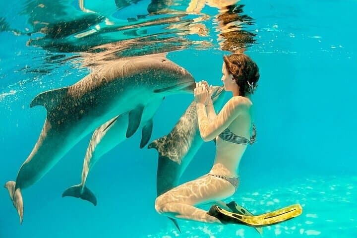 Explore Sataya Reef: Full-Day Snorkel to Dolphin House from Marsa Alam photo 4
