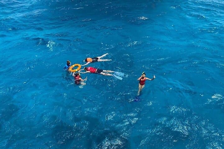 Explore Sataya Reef: Full-Day Snorkel to Dolphin House from Marsa Alam photo 6
