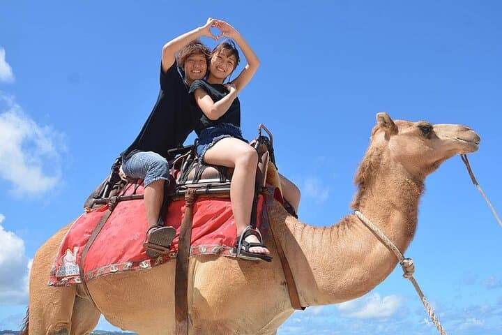 One-Hour Camel Ride Near Hurghada: Desert Experience with Hotel Transfer photo 5