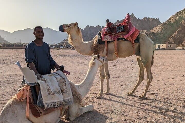One-Hour Camel Ride Near Hurghada: Desert Experience with Hotel Transfer photo 2
