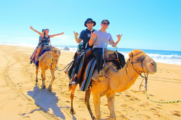 One-Hour Camel Ride Near Hurghada: Desert Experience with Hotel Transfer photo 3