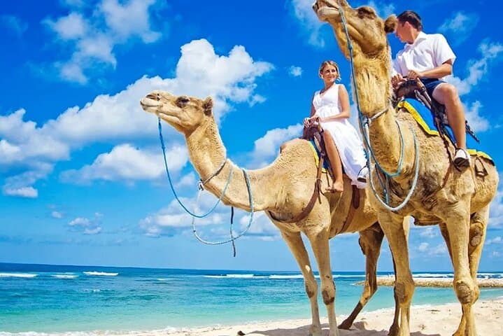 One-Hour Camel Ride Near Hurghada: Desert Experience with Hotel Transfer