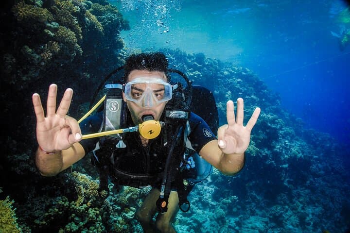 Intro Scuba Diving in Hurghada: Full-Day Boat Trip with Lunch & Transfers photo 3