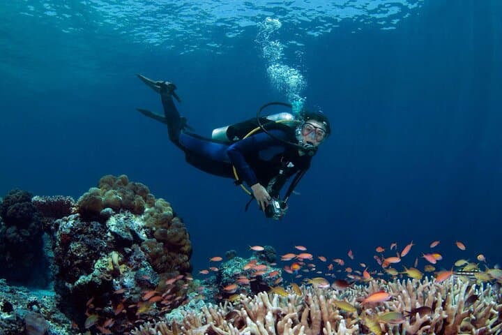 Intro Scuba Diving in Hurghada: Full-Day Boat Trip with Lunch & Transfers photo 5