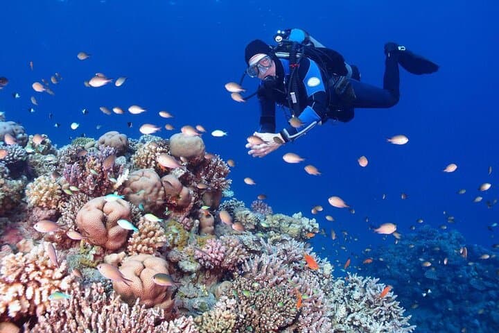 Intro Scuba Diving in Hurghada: Full-Day Boat Trip with Lunch & Transfers photo 6