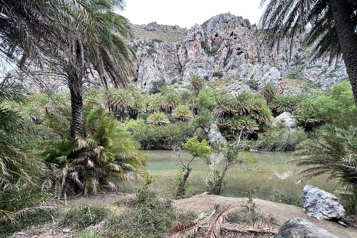Private South Crete Escape: Preveli Palm Forest, Kourtaliotiko Gorge & Spili Day Tour photo 2