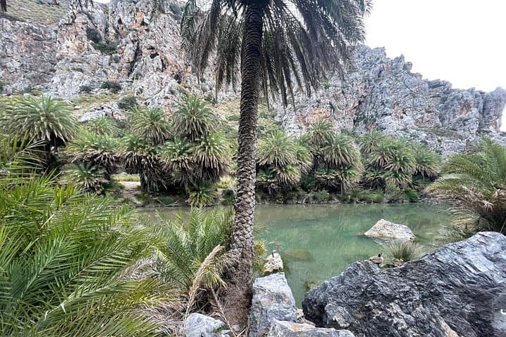 Private South Crete Escape: Preveli Palm Forest, Kourtaliotiko Gorge & Spili Day Tour photo 3