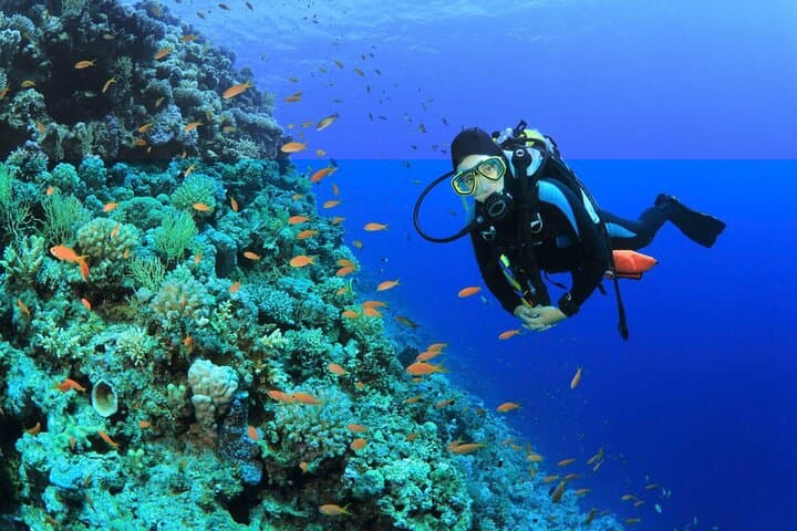 Full-Day Intro Scuba Diving with Lunch in Sharm El Sheikh — Beginner-Friendly Red Sea Experience photo 2