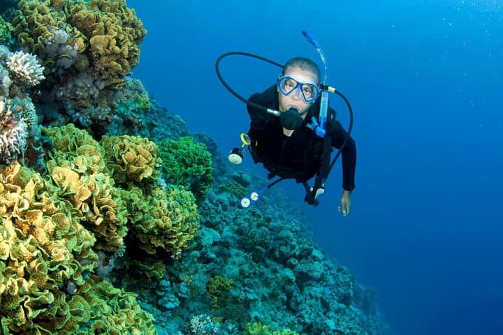 Full-Day Intro Scuba Diving with Lunch in Sharm El Sheikh — Beginner-Friendly Red Sea Experience photo 3