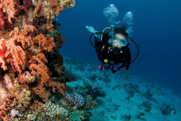 Full-Day Intro Scuba Diving with Lunch in Sharm El Sheikh — Beginner-Friendly Red Sea Experience photo 4