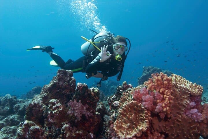 Full-Day Intro Scuba Diving with Lunch in Sharm El Sheikh — Beginner-Friendly Red Sea Experience photo 5