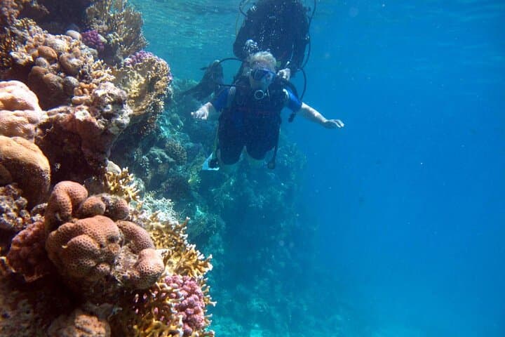 Full-Day Intro Scuba Diving with Lunch in Sharm El Sheikh — Beginner-Friendly Red Sea Experience photo 6