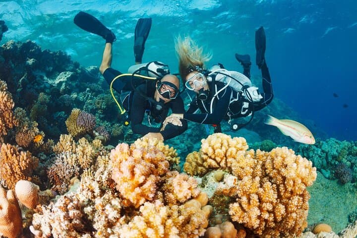 Full-Day Intro Scuba Diving with Lunch in Sharm El Sheikh — Beginner-Friendly Red Sea Experience