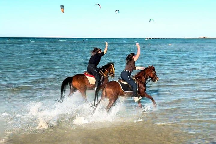 Ride the Red Sea: Desert Dunes, Beach Gallops & Swimming Horses in Hurghada photo 4