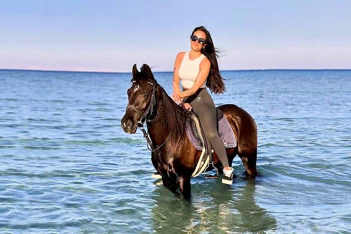 Ride the Red Sea: Desert Dunes, Beach Gallops & Swimming Horses in Hurghada photo 1