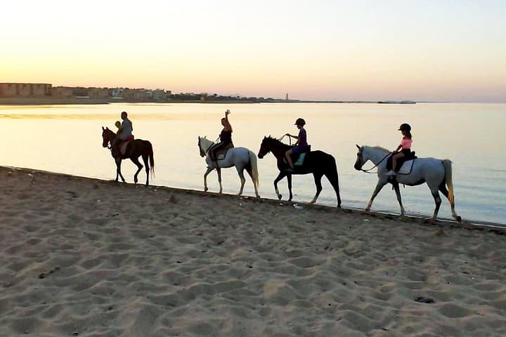 Ride the Red Sea: Desert Dunes, Beach Gallops & Swimming Horses in Hurghada photo 3